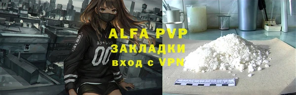 дживик Касимов