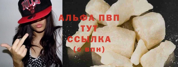 дживик Касимов