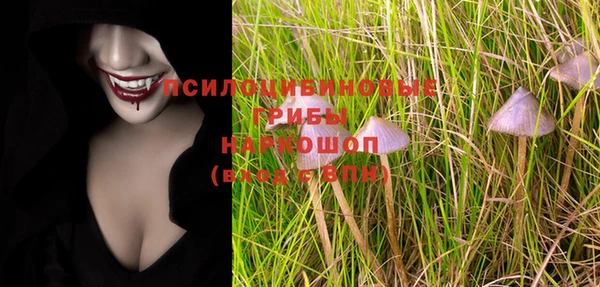 дживик Касимов