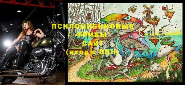 MESCALINE Карпинск