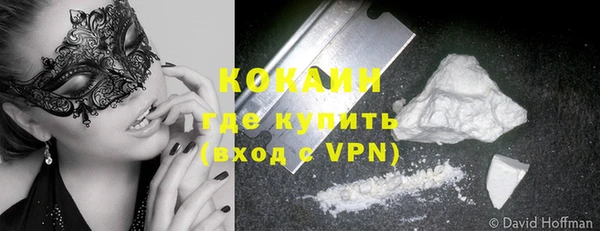 дживик Касимов