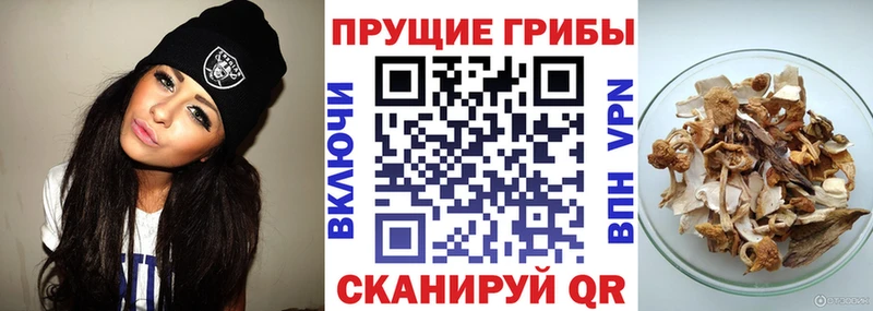 Псилоцибиновые грибы Magic Shrooms  Купить  Нарткала 